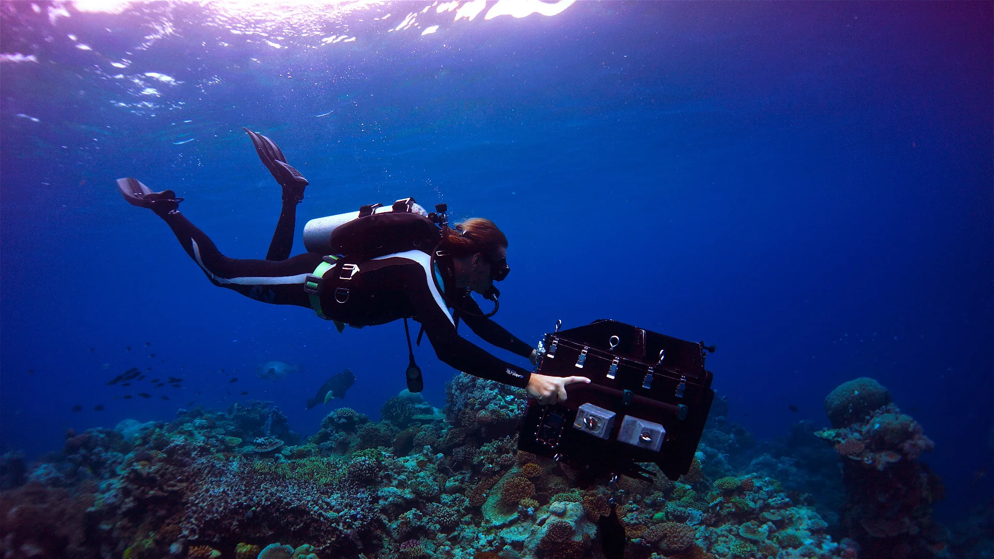 Kenneth Corben operating underwater 3D camera on Great Barrier Reef